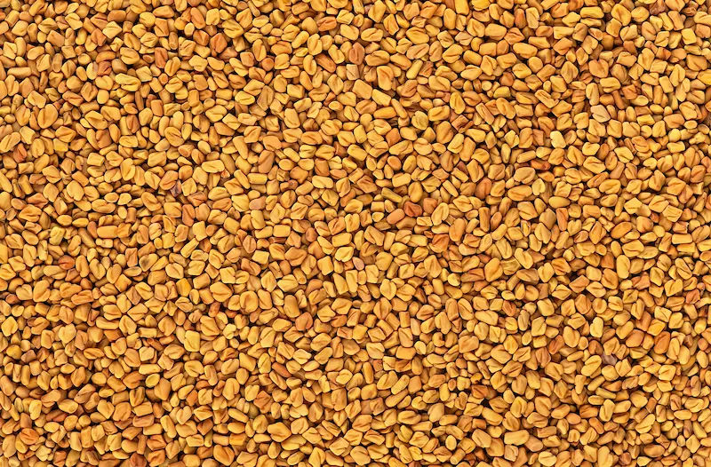 Fenugreek Seeds: Incredible Health & Beauty Benefits